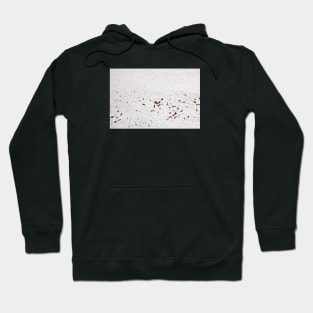 Cracked painting texture 6 Hoodie